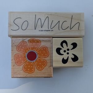 Hampton Art Rubber Stamps EUC